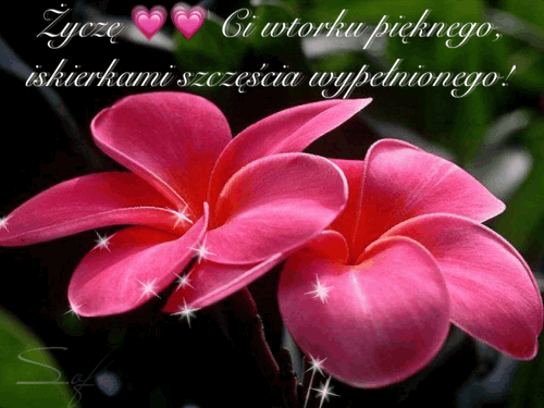 Wtorku pięknego iskierkami szczęścia wypełnionego